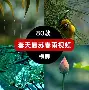 PG官方网站 -葡萄牙体育内部会议纪要流出：今夜队长鼓劲，全明星赛使命明确，细节决定成败的简单介绍