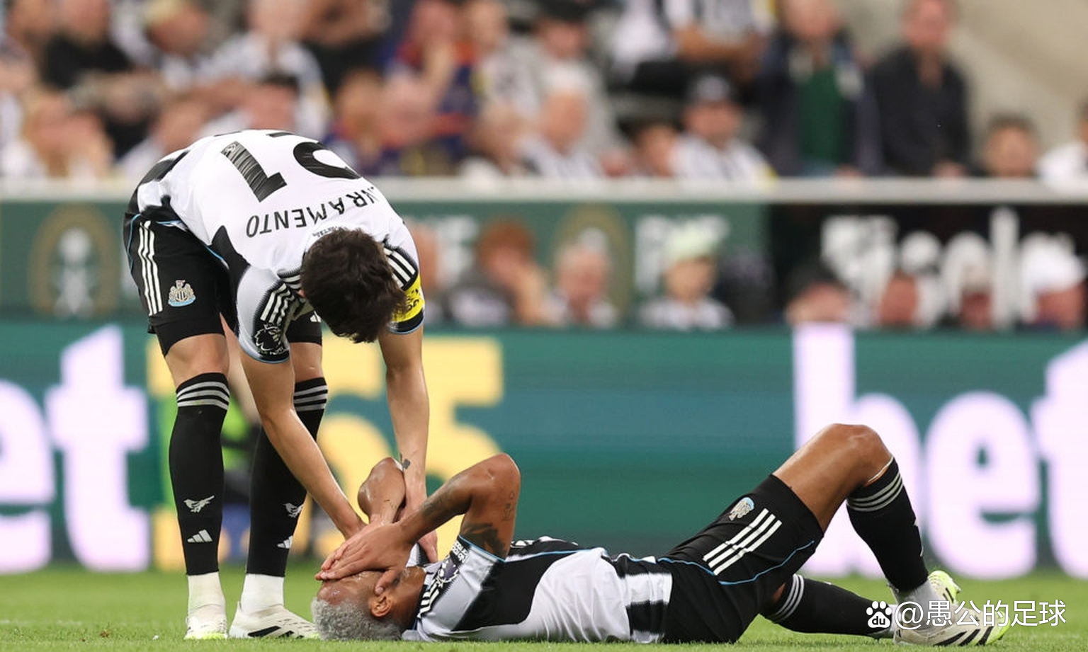 PG电子网址 -集结日纽卡斯尔备战NBA季后赛；遗憾出局细节曝光；悬念犹存；控场能力受关注的简单介绍