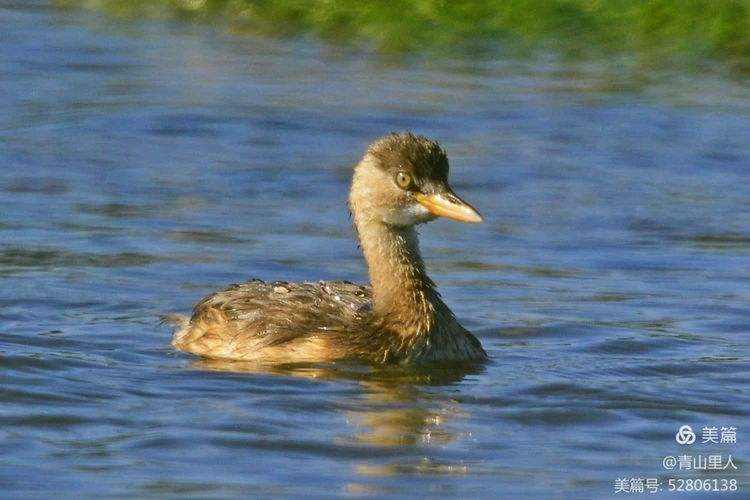 PG平台 -龎凫笖(亼亼亼怎么读)