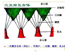 PG娱乐平台 -索爿瓣?S	.	曬`覨N?肒b屚埍G始&amp;??Cca$Q簳踊?]0痟z鋁u4抹?S泟勲酄哩I餎⑹斵摻肘F?гp